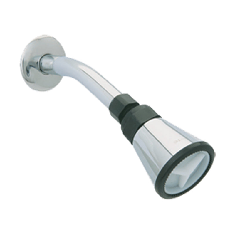 Dica 4500B regadera 2 pulg. de cebolla con brazo y chapeton cromo
