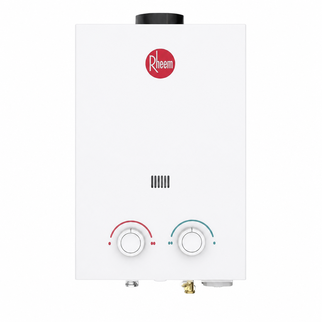 Rheem calentador de agua inst 06 L essentials gas LP