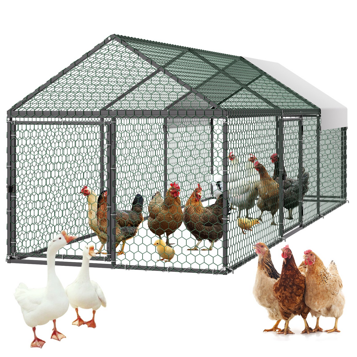 Gallinero metãlico vevor para 6-8 gallinas,â 100X30X100 cm, mod CRCFG0103