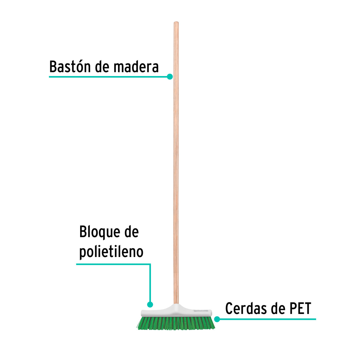 Cepillo Industrial Cerda Rígida de 30 cm, Bastón de Madera