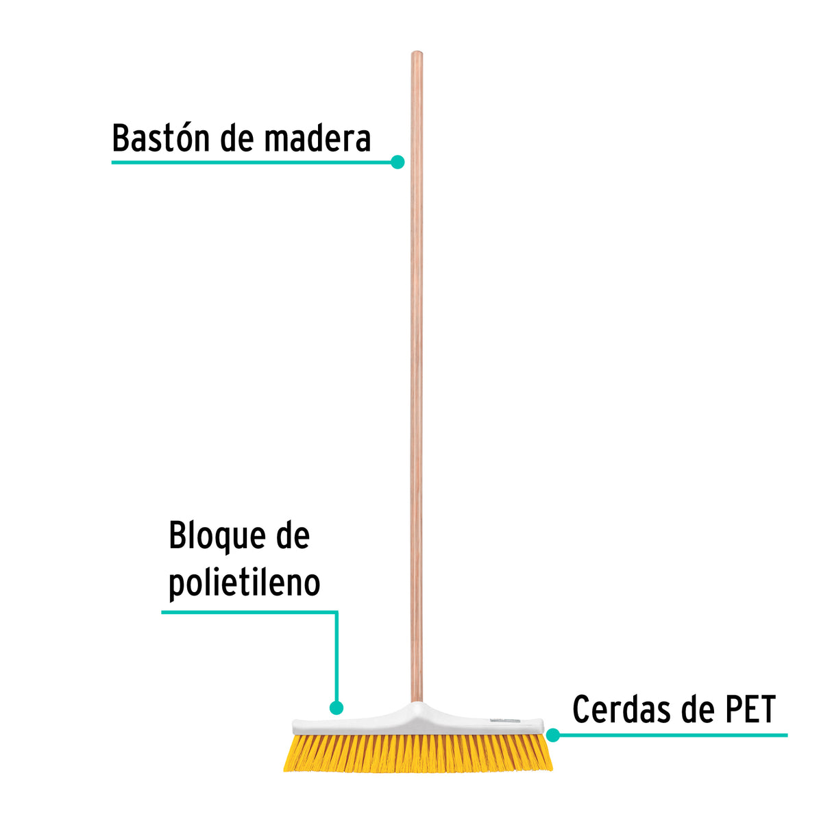 Cepillo Industrial Cerda Suave de 50 cm, Bastón de Madera