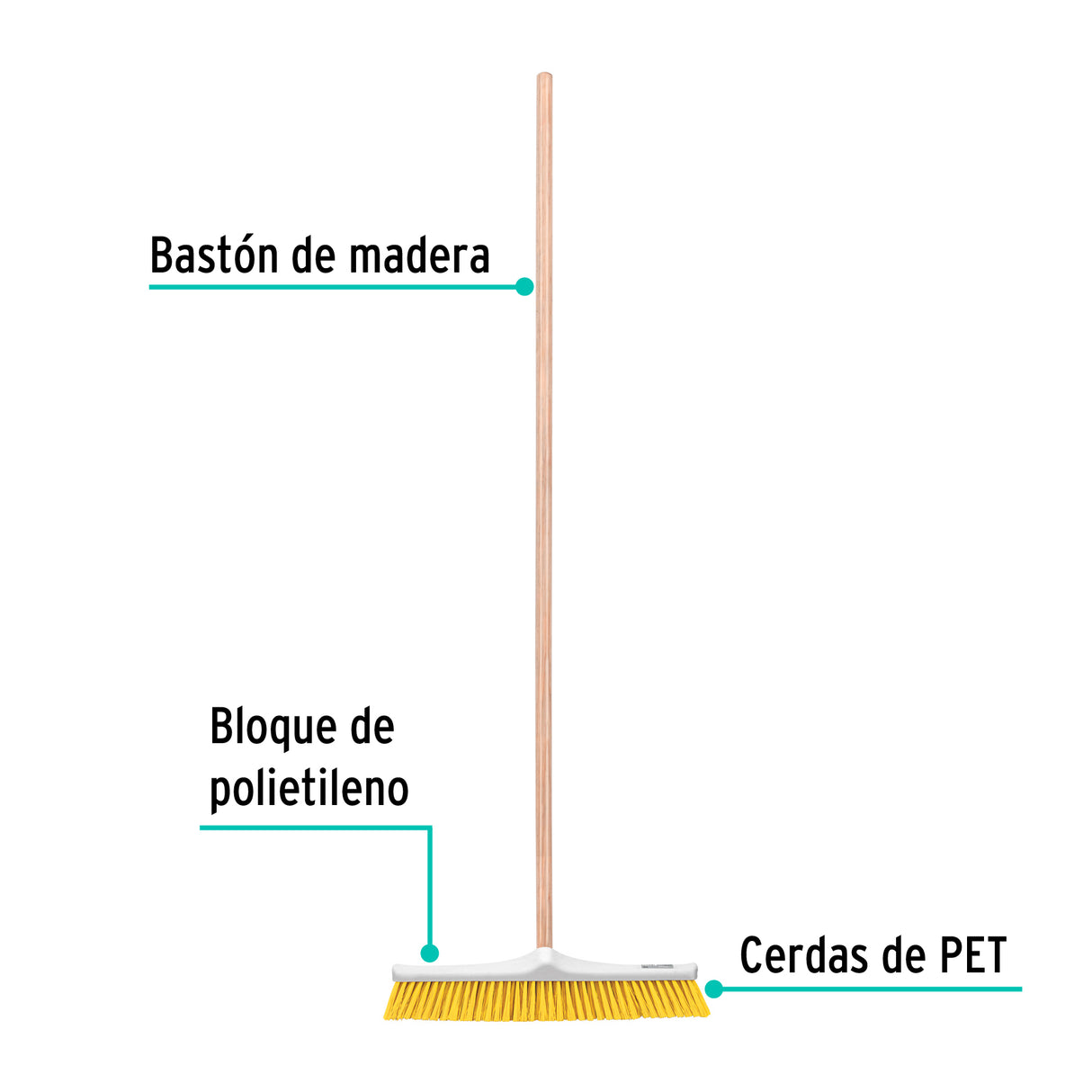 Cepillo Industrial Cerda Suave de 56 cm, Bastón de Madera