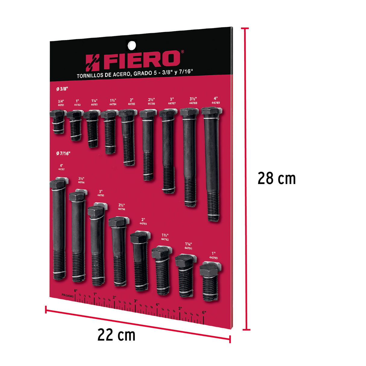 Exhibidor Fiero de Tornillos #2, Grado 5