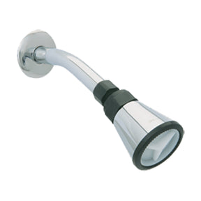 Dica 4500B regadera 2 pulg. de cebolla con brazo y chapeton cromo