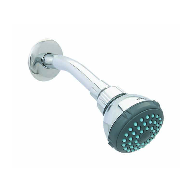 Dica 4506B regadera 2 pulg. de cebolla con brazo y chapeton cromo