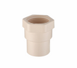 Fleximatic adaptador hembra CPVC 25 mm 1 39-400