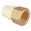 Amanco adaptador hembra CPVC cts rosca met 3/4 66078