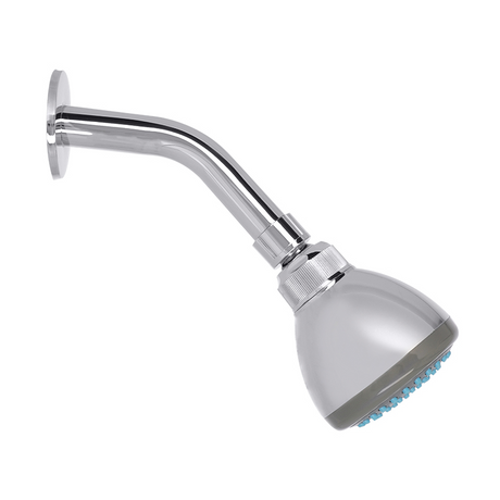 Dica regadera con brazo y chapeton 4545B