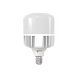 Igoto F10870 foco LED de alta potencia T140 70 W 6500K