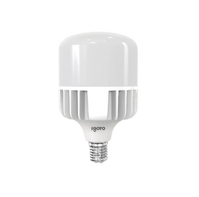 Igoto F10870 foco LED de alta potencia T140 70 W 6500K