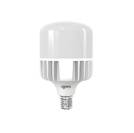 Igoto F10870 foco LED de alta potencia T140 70 W 6500K