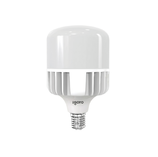 Igoto F10870 foco LED de alta potencia T140 70 W 6500K