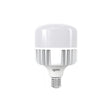 Igoto F108100 foco LED de alta potencia T150 100 W 6500K
