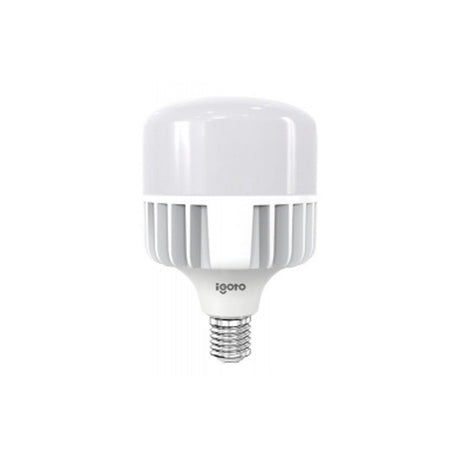 Igoto F108100 foco LED de alta potencia T150 100 W 6500K