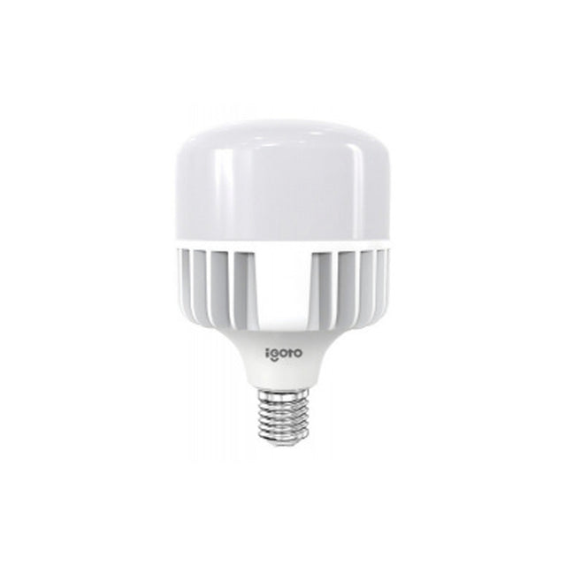 Igoto F108100 foco LED de alta potencia T150 100 W 6500K
