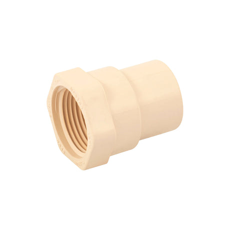 Resistec CPVC conector hembra 3/4" (19 mm) *50*