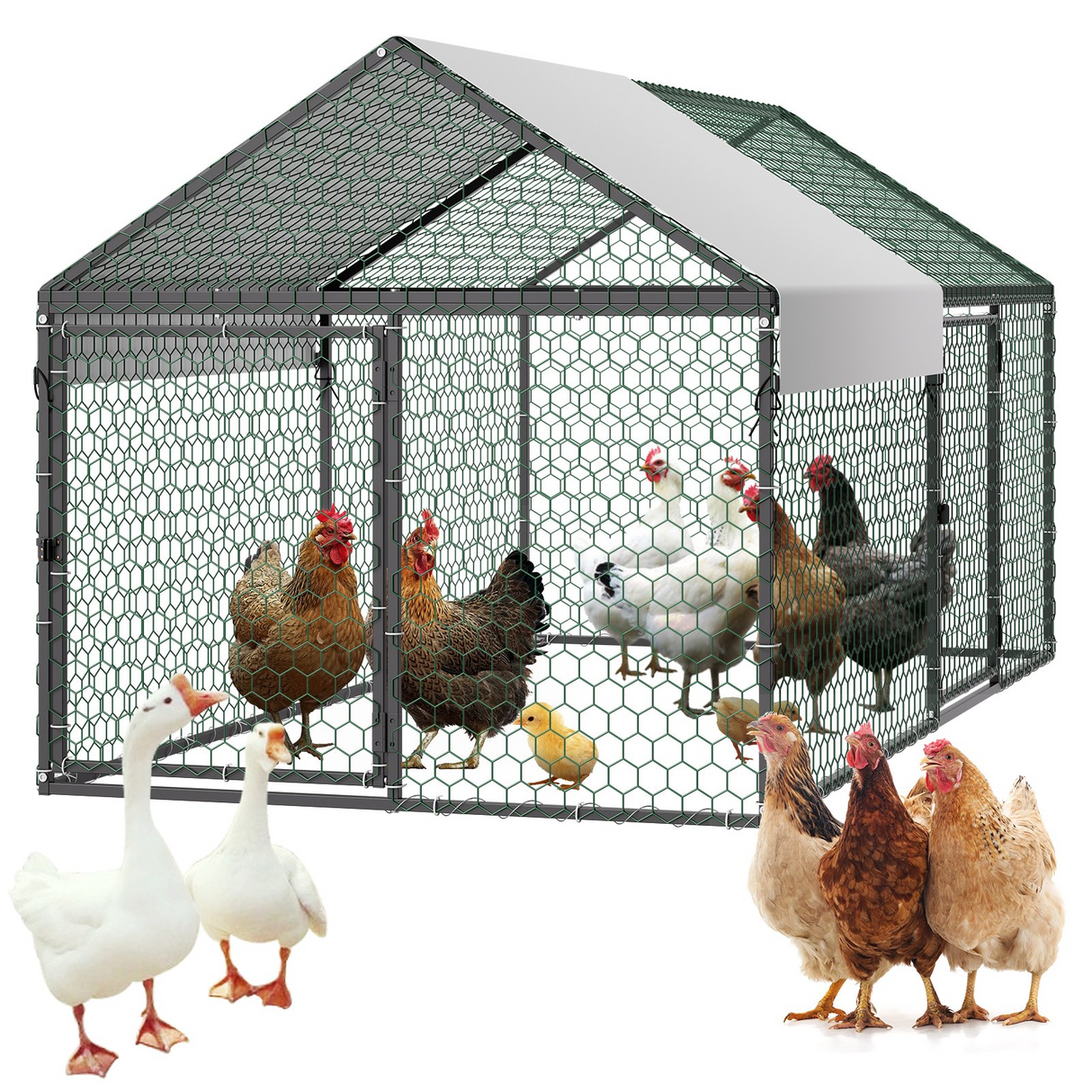 Gallinero metãlico vevor para 4-6 gallinas,â 100X190X100 cm, mod CRCFG0102