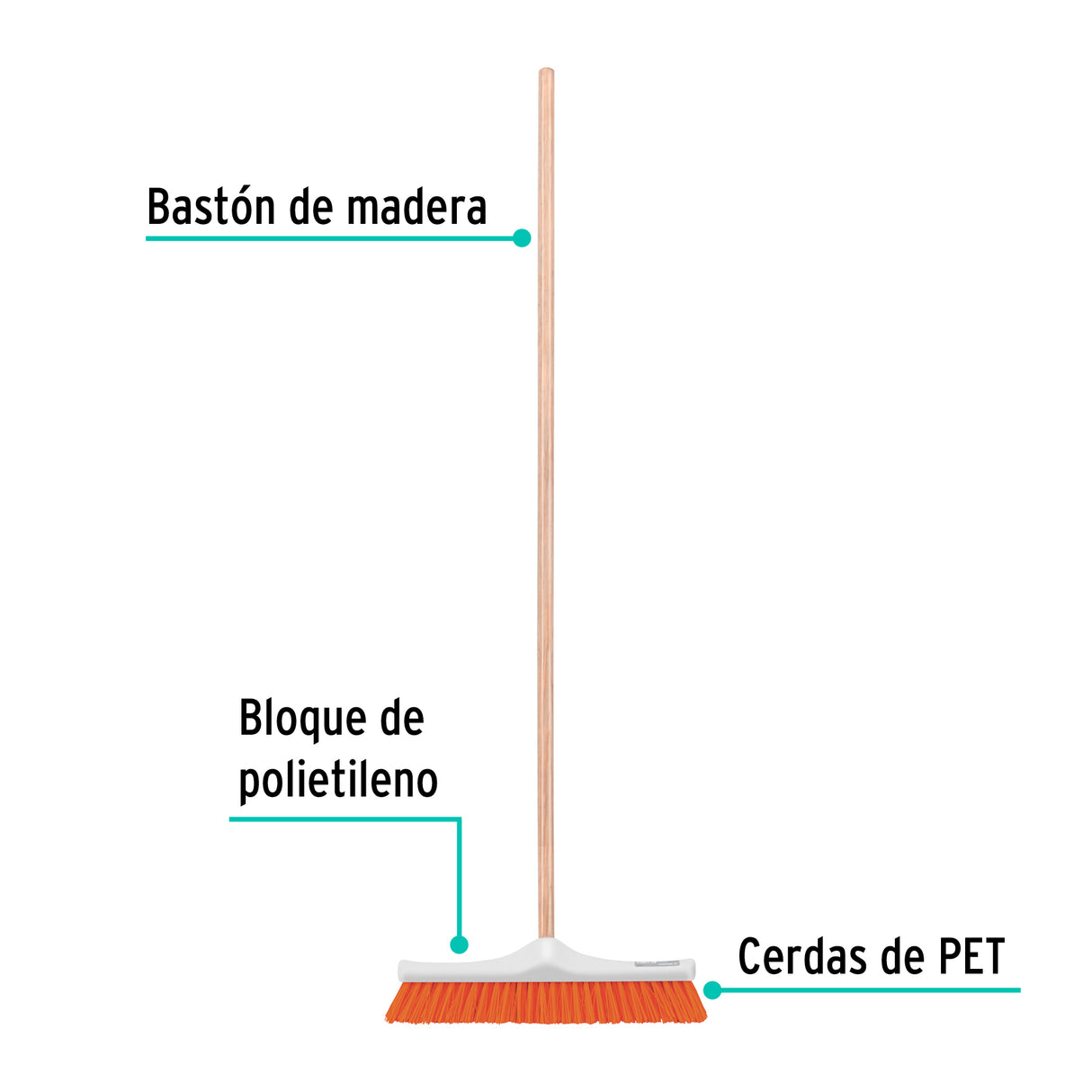 Cepillo Industrial Cerda Rígida de 40 cm, Bastón de Madera