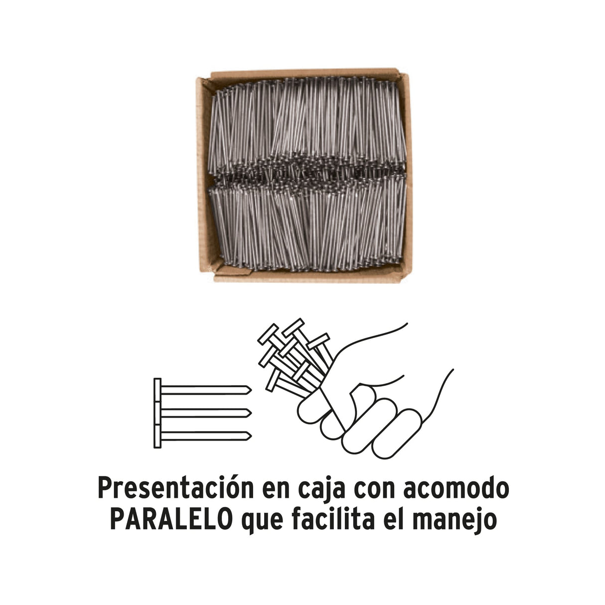 Kilo de Clavo Estándar 2-1/2' con Cabeza en Caja de 10 kg