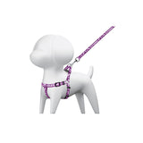 Correa con Pechera para Perro, 1 cm Ancho, Fiero
