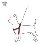 Correa con Pechera para Perro, 1 cm Ancho, Fiero