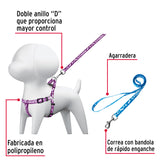 Correa con Pechera para Perro, 1 cm Ancho, Fiero