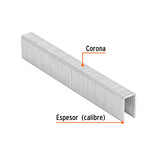 Caja con 1000 Grapas Corona 7/16' Cal. 16, 19 mm para ENNE-160