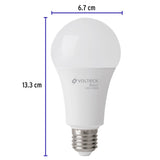 Pack 4 Focos LED 16 W (100 W) A22, 6500K Fría, 1550 Lm, Basic