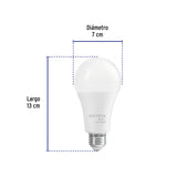 Foco LED 16 W (100 W) A22, 6500K Blanca Fría, 1550 Lm, Basic
