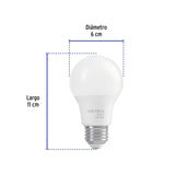 Foco LED 8 W (60 W) A19, 6500K Blanca Fría, 790 Lm, Basic
