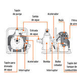 Motobomba Autocebante 1'X1', Gas. 1-1/2 HP, Agrícola, Truper