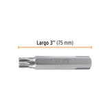 Estuche con 3 Puntas Bristol M12 Largo 3', Truper Expert