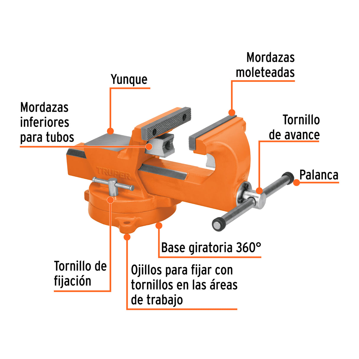 Tornillo de Banco 8' Industrial de Hierro Dúctil, Expert