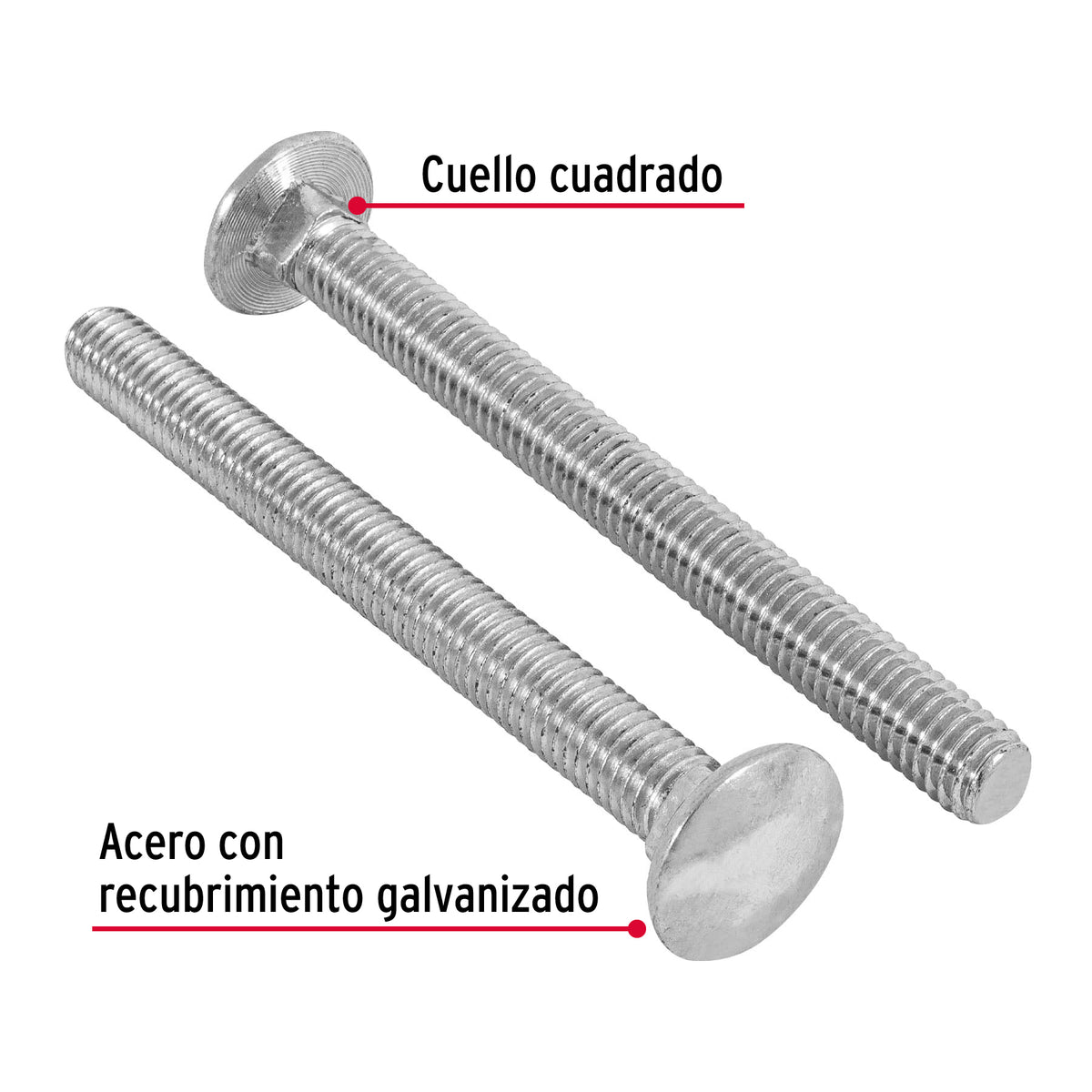 Bolsa con 30 Tornillos 3/8' X 4' Tipo Coche, Fiero